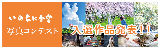 いのちに合掌 写真コンテスト 入選作品発表！
