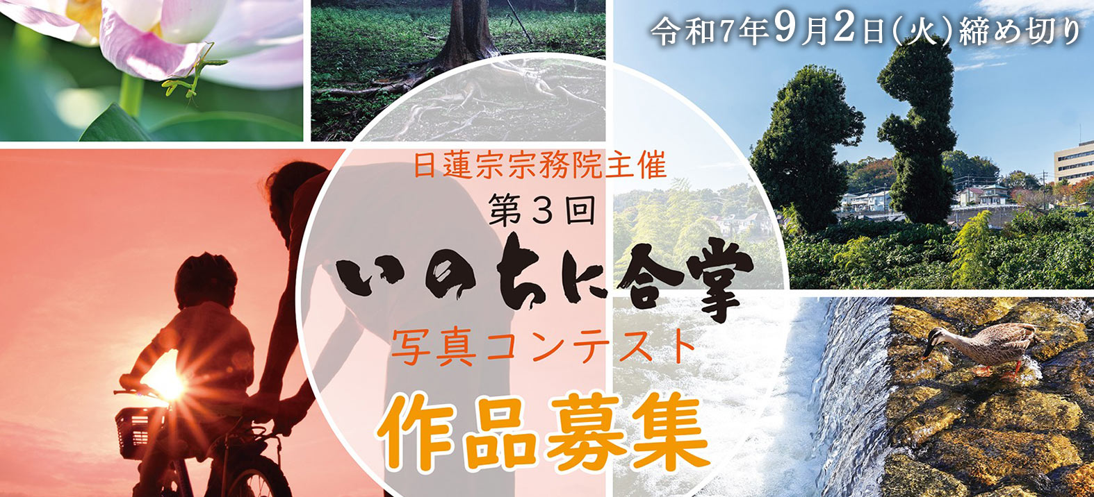 いのちに合掌 フォトコンテスト 2025 作品募集