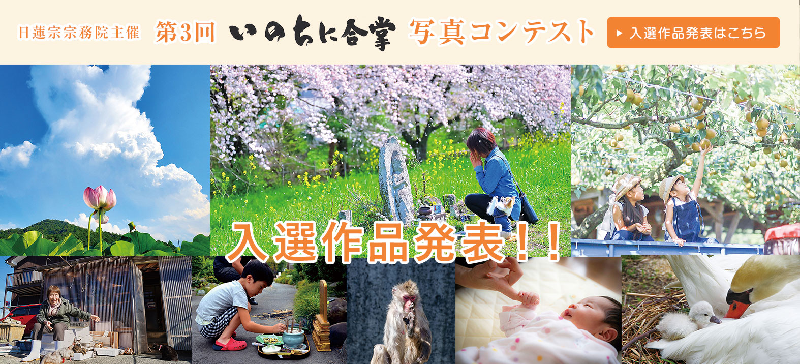 いのちに合掌 写真コンテスト 入選作品発表！