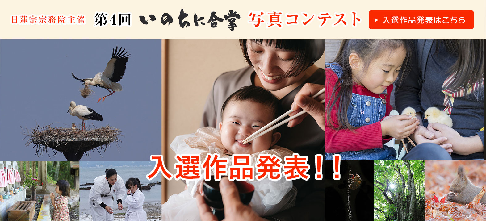 第4回 いのちに合掌 写真コンテスト 入選作品発表！