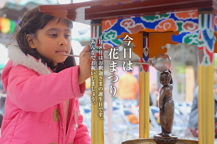 今日は花まつり。４月８日はお釈迦さまの誕生日です。みんなでお祝いしましょう。